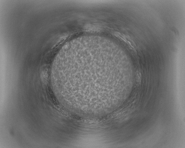 X0000115521254200912040921