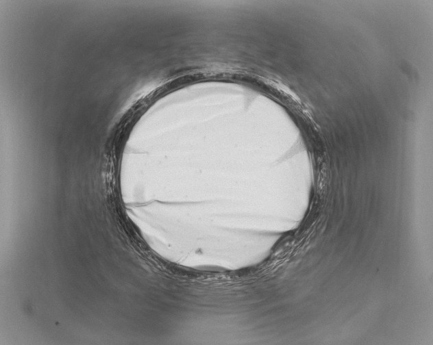 X0000115521255200912040921