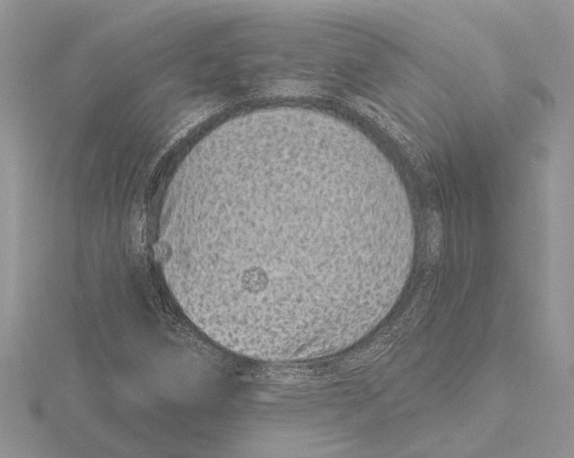 X0000115521258200912040921