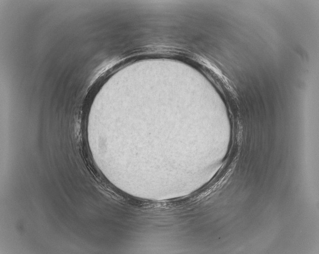 X0000115521259200912040921