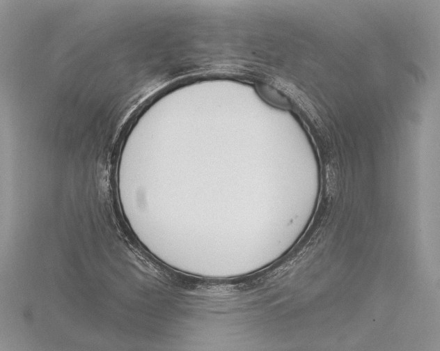 X0000115521260200912040921