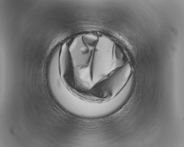 X0000115521261200912040921