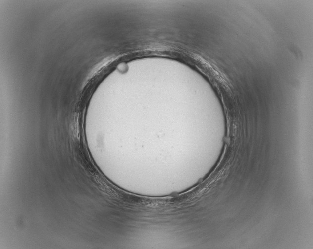 X0000115521262200912040921