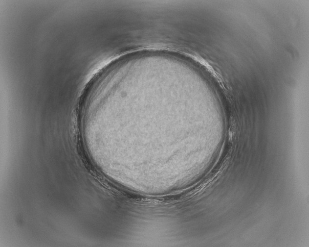 X0000115521263200912040921