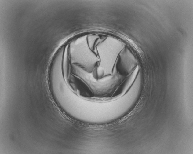 X0000115521264200912040921