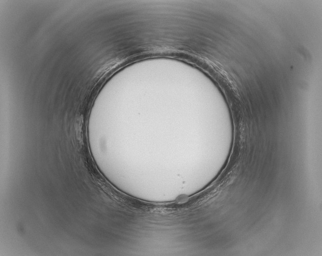 X0000115521265200912040921