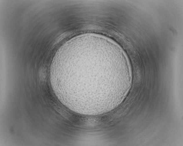 X0000115521266200912040921