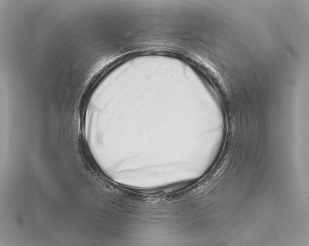 X0000115521267200912040921