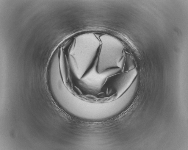 X0000115521268200912040921