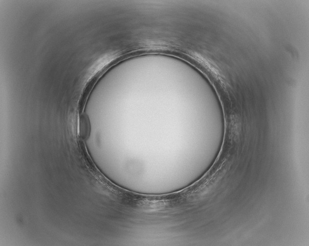 X0000115521269200912040921