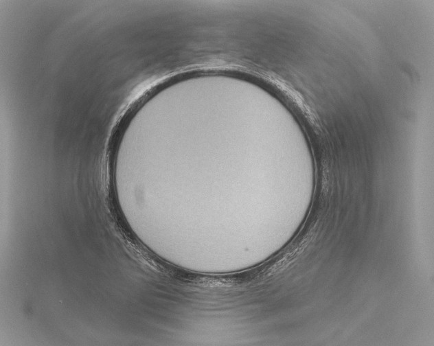 X0000115521270200912040921