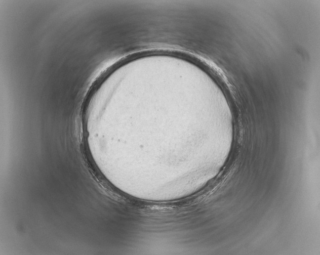 X0000115521271200912040921