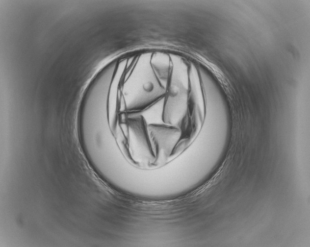 X0000115521272200912040921