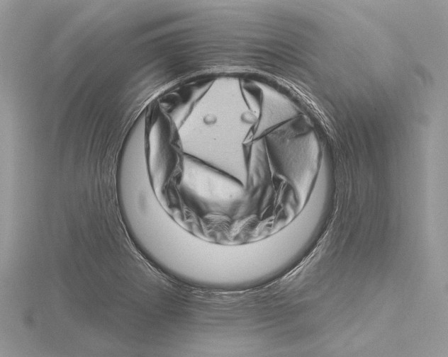 X0000115521273200912040921