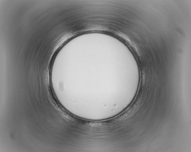 X0000115521274200912040921