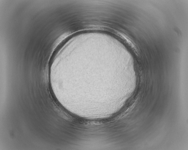 X0000115521275200912040921