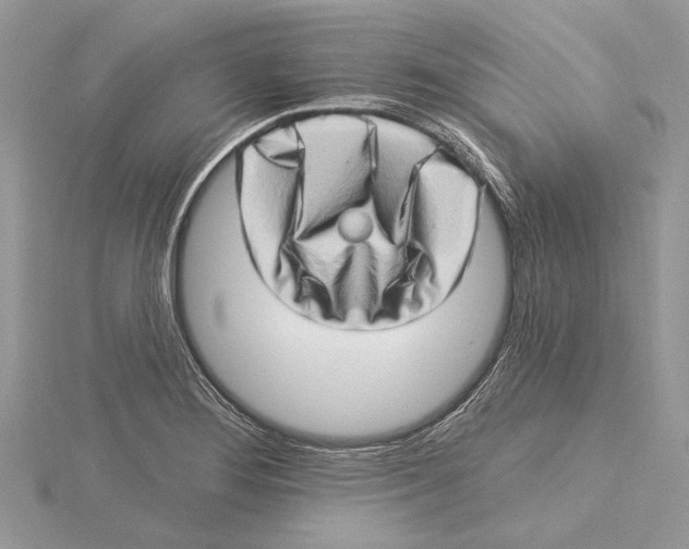 X0000115521276200912040921