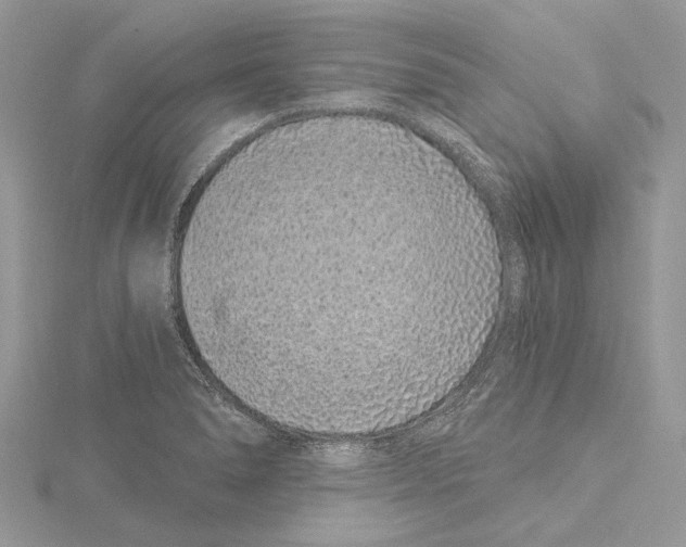 X0000115521278200912040921