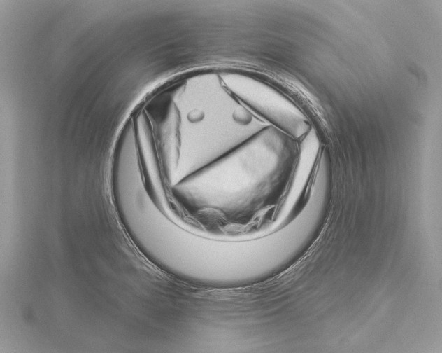 X0000115521280200912040921