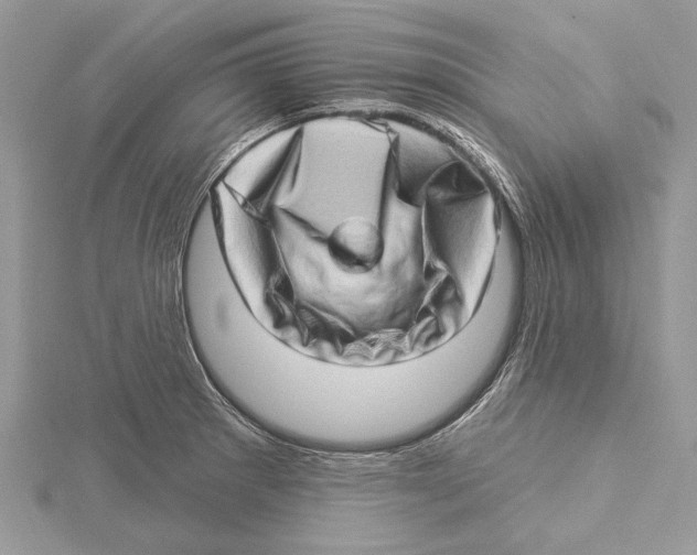 X0000115521281200912040921