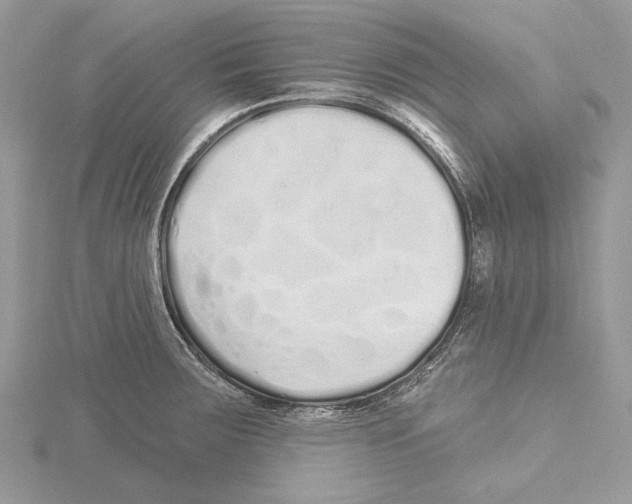 X0000115521283200912040921