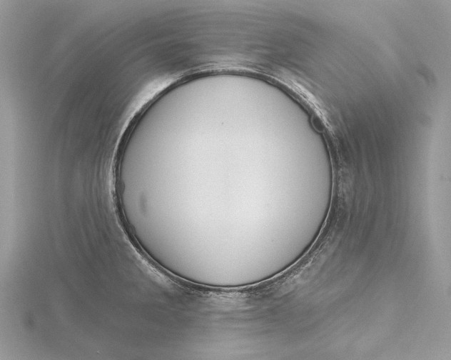 X0000115521285200912040921