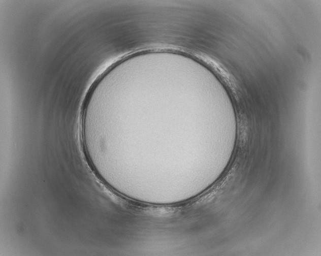 X0000115521286200912040921