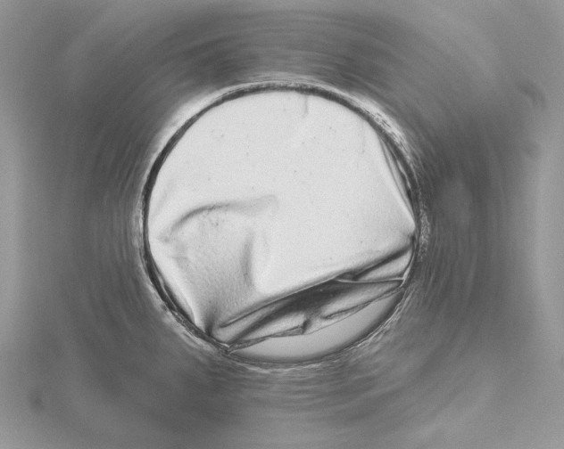 X0000115521287200912040921