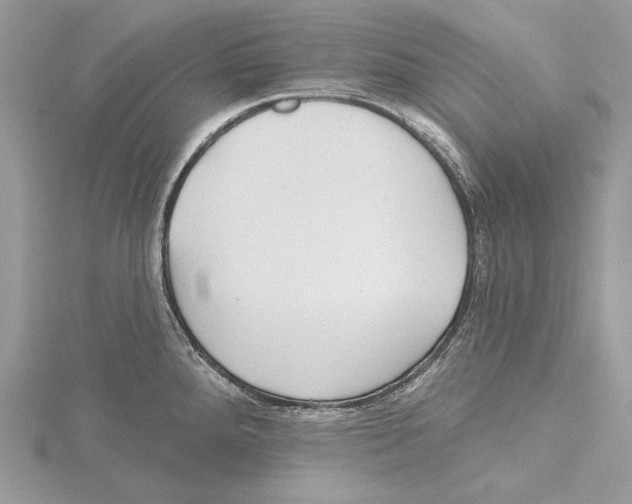 X0000115521288200912040921