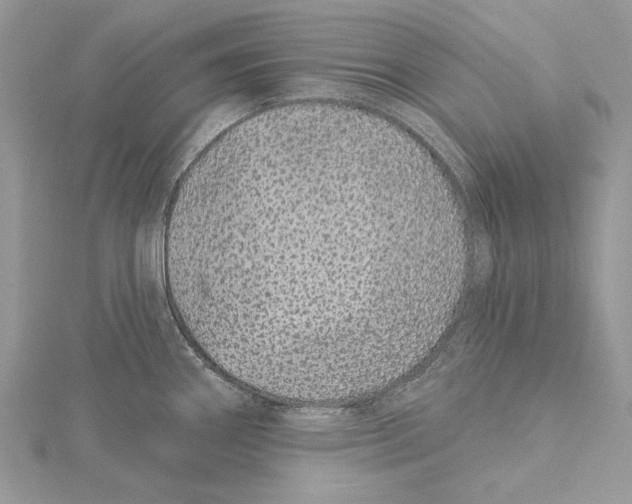 X0000115521290200912040921