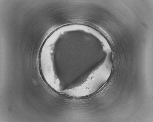 X0000115521291200912040921