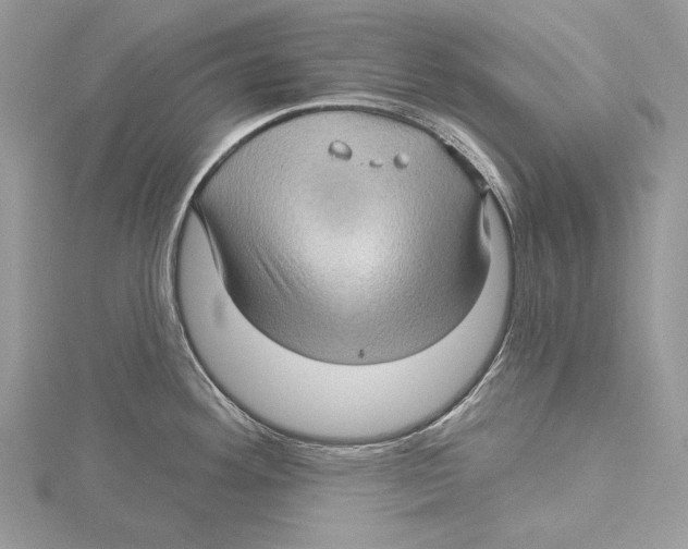 X0000115521292200912040921