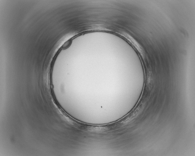 X0000115521293200912040921