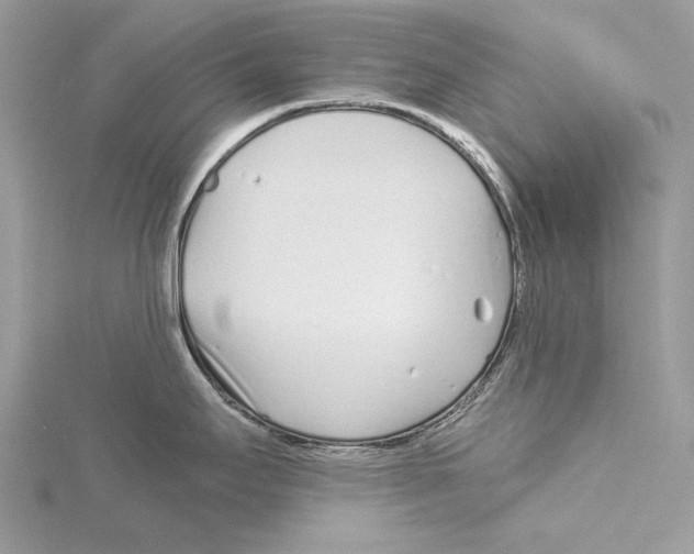 X0000115521295200912040921