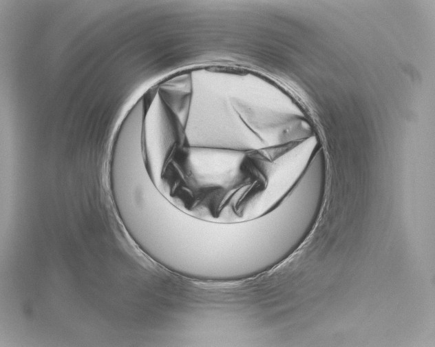 X0000115521296200912040921