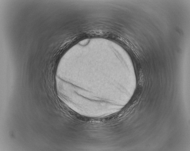 X0000115521297200912040920