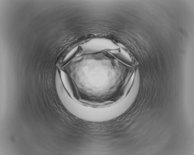 X0000115521298200912040920