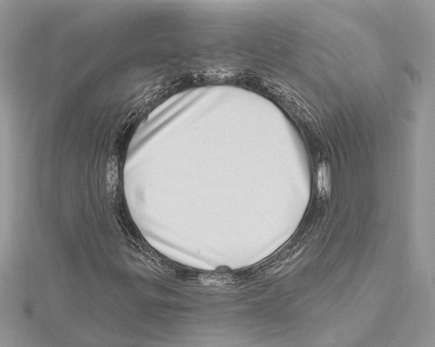 X0000115521299200912040920