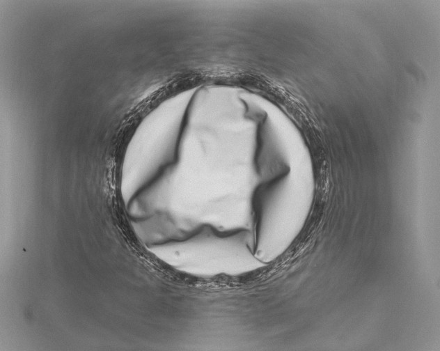 X0000115521301200912040920