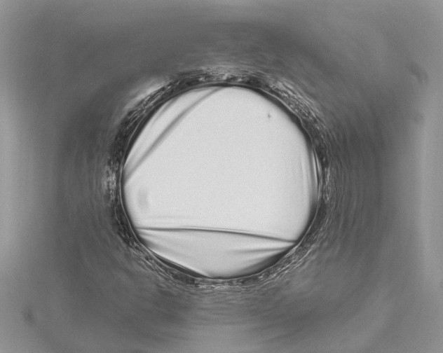 X0000115521302200912040920