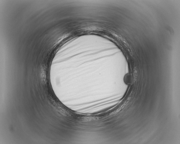 X0000115521305200912040920