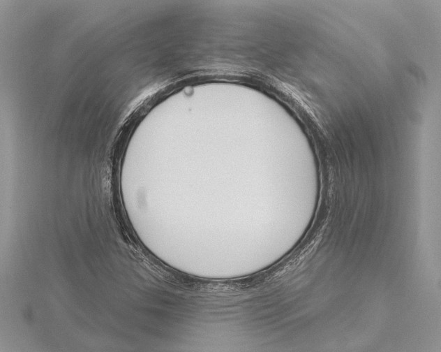 X0000115521307200912040920