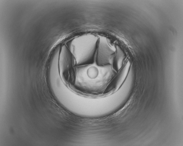 X0000115521309200912040920