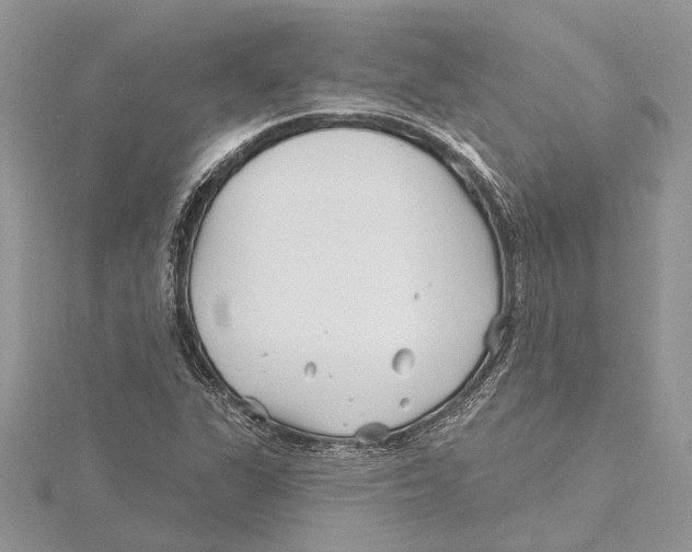 X0000115521311200912040920