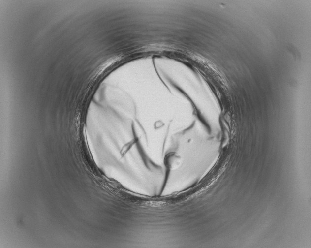 X0000115521313200912040920