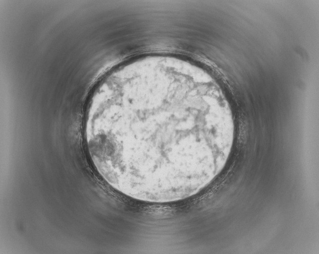 X0000115521314200912040920