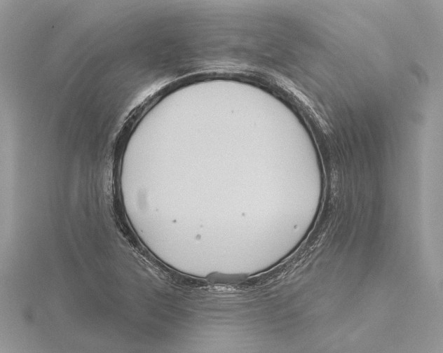 X0000115521315200912040920