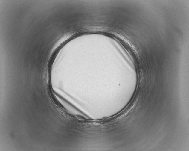 X0000115521317200912040920