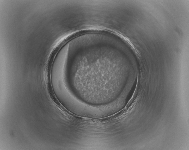 X0000115521319200912040920