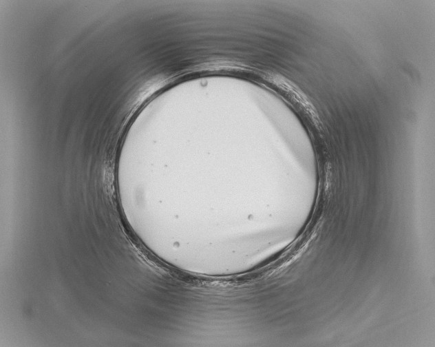 X0000115521321200912040920